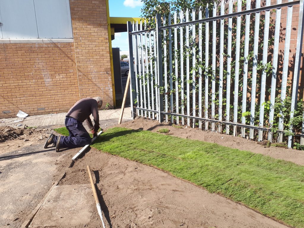 Turf being laid by Ed Tatham in the new garden