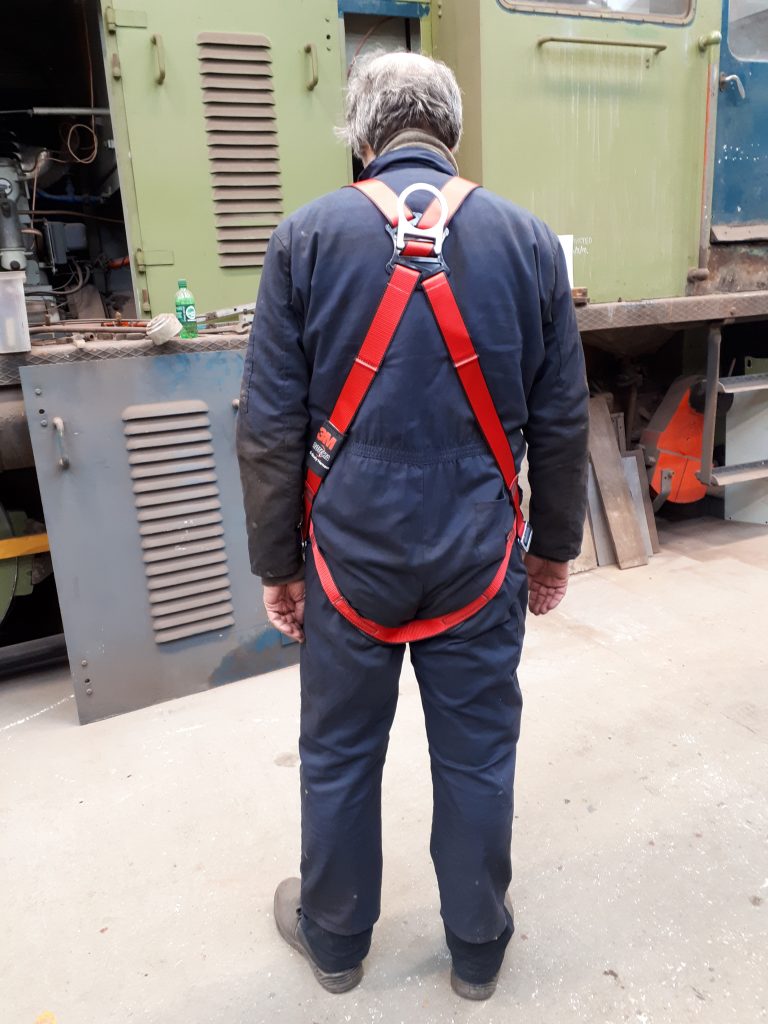 Rear view of Mike in his harness