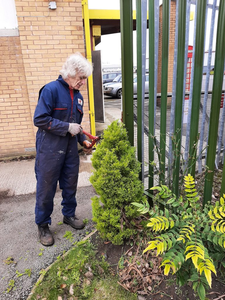 Ed trimming a bush